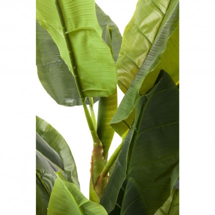 Deco Plant banana tree 180cm Kare Design