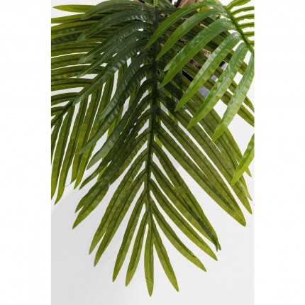 Decoratie Plant Palm tree 190cm Kare Design