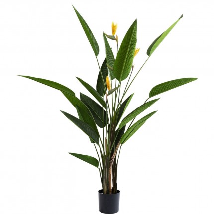 Decoratie Plant Paradise Flowers 190cm Kare Design