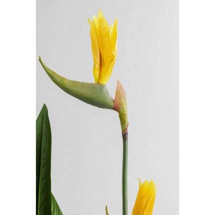 Decoratie Plant Paradise Flowers 190cm Kare Design